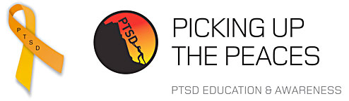 Picking-Up-The-Peaces-PTSD-Education